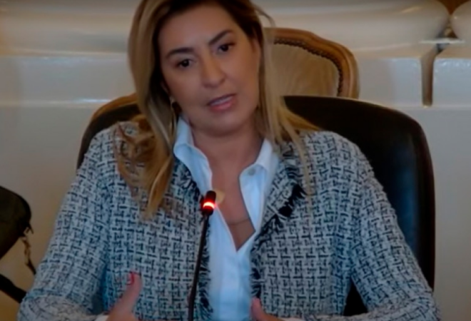 Na OEA, Renata Gil expõe ações em prol do combate à violência de gênero