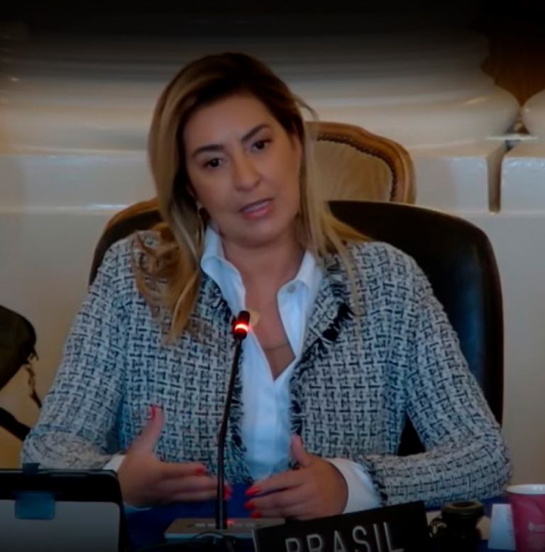 Na OEA, Renata Gil expõe ações em prol do combate à violência de gênero