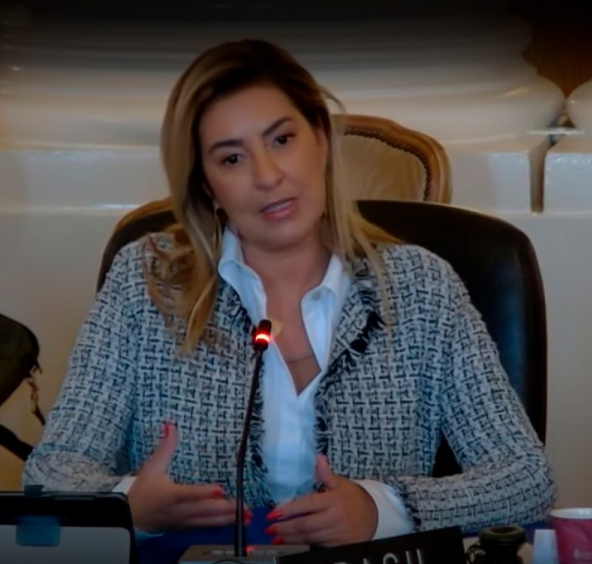 Na OEA, Renata Gil expõe ações em prol do combate à violência de gênero