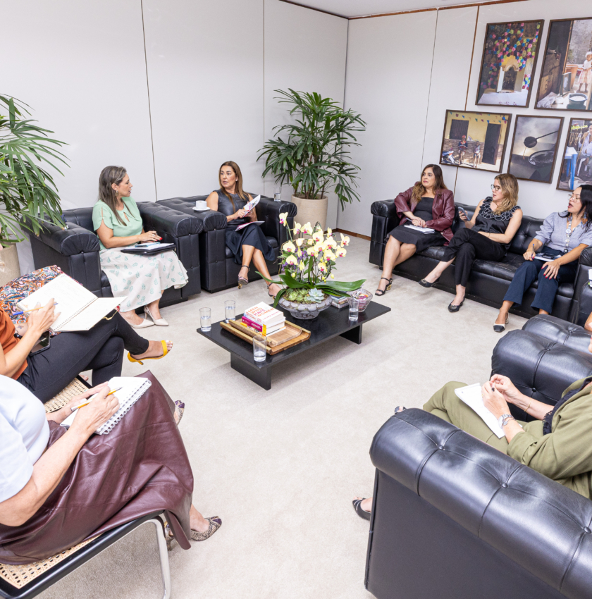 TSE Mulheres define ações prioritárias após atualização da comissão