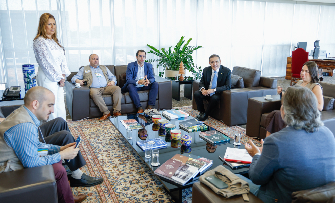 Presidente do TSE recebe Missão de Observação Eleitoral do Parlasul