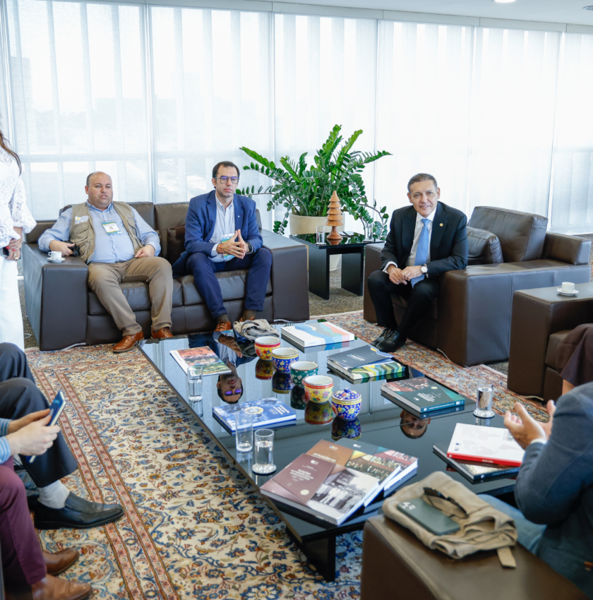 Presidente do TSE recebe Missão de Observação Eleitoral do Parlasul